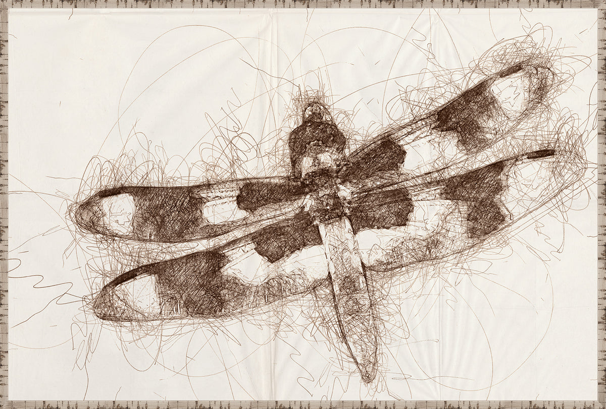 Nature Sketch – Dragonfly I wall art featuring a brown dragonfly sketch on a light background.