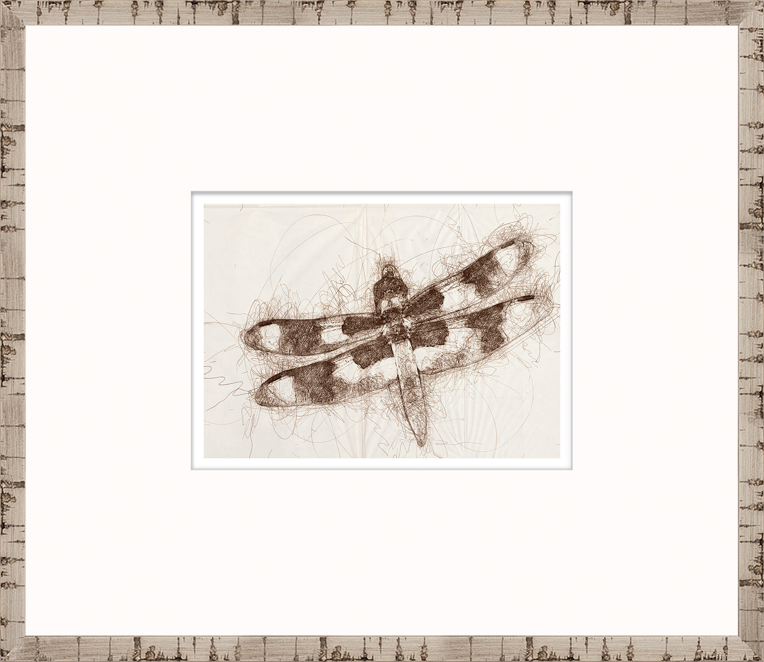 Nature Sketch – Dragonfly I