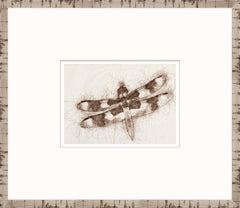 15 × 13 in – Glass Framed
