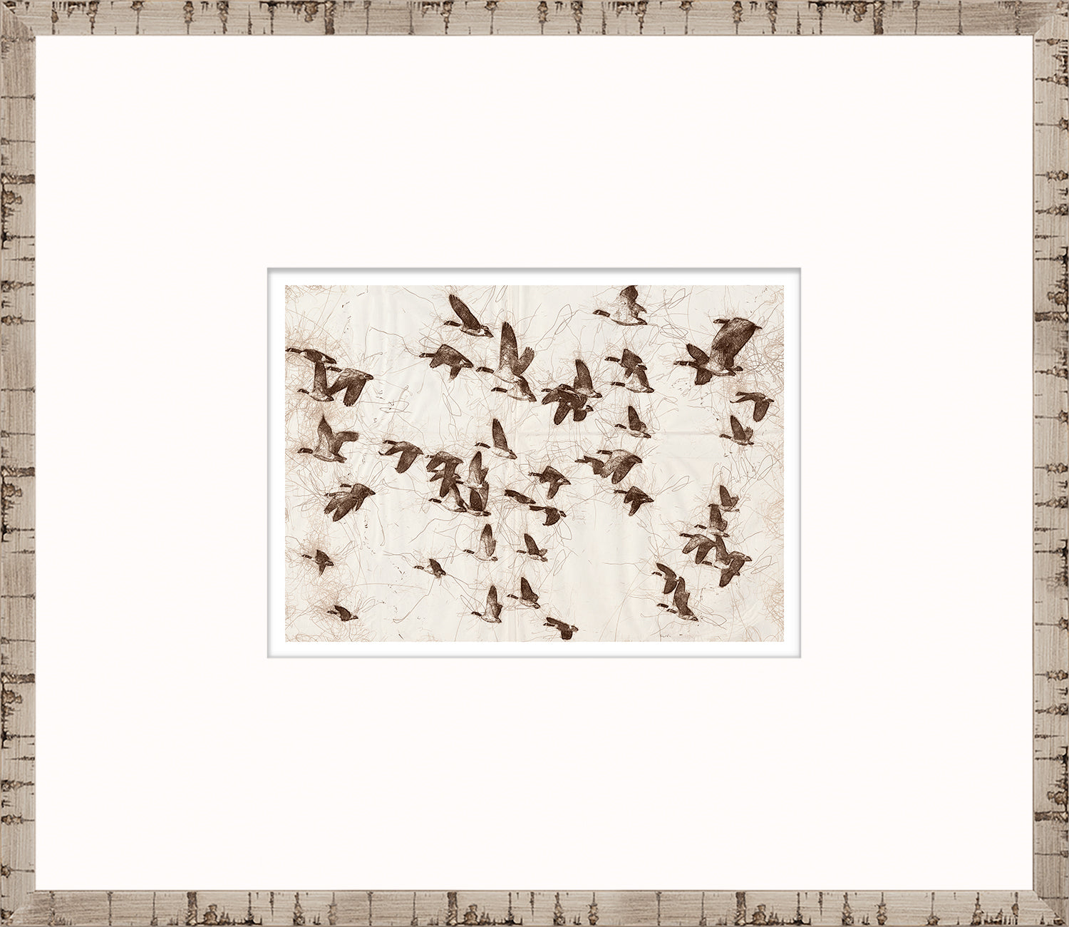 Nature Sketch – Flock
