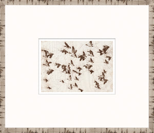 Nature Sketch – Flock