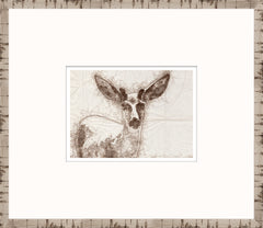 15 × 13 in – Glass Framed