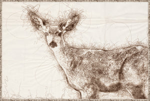 Nature Sketch – Doe wall art featuring a detailed brown sketch of a doe on a light background.