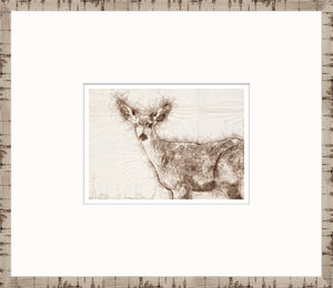 Nature Sketch – Doe