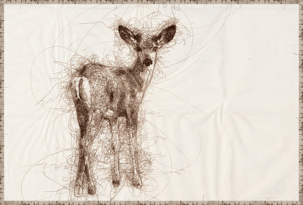 Nature Sketch – Fawn I wall art featuring a fawn sketched in brown lines on a cream background.