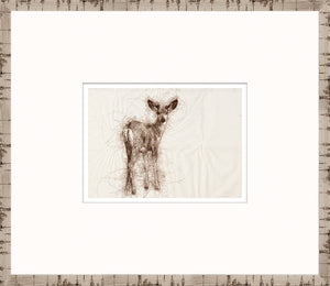 Nature Sketch – Fawn I