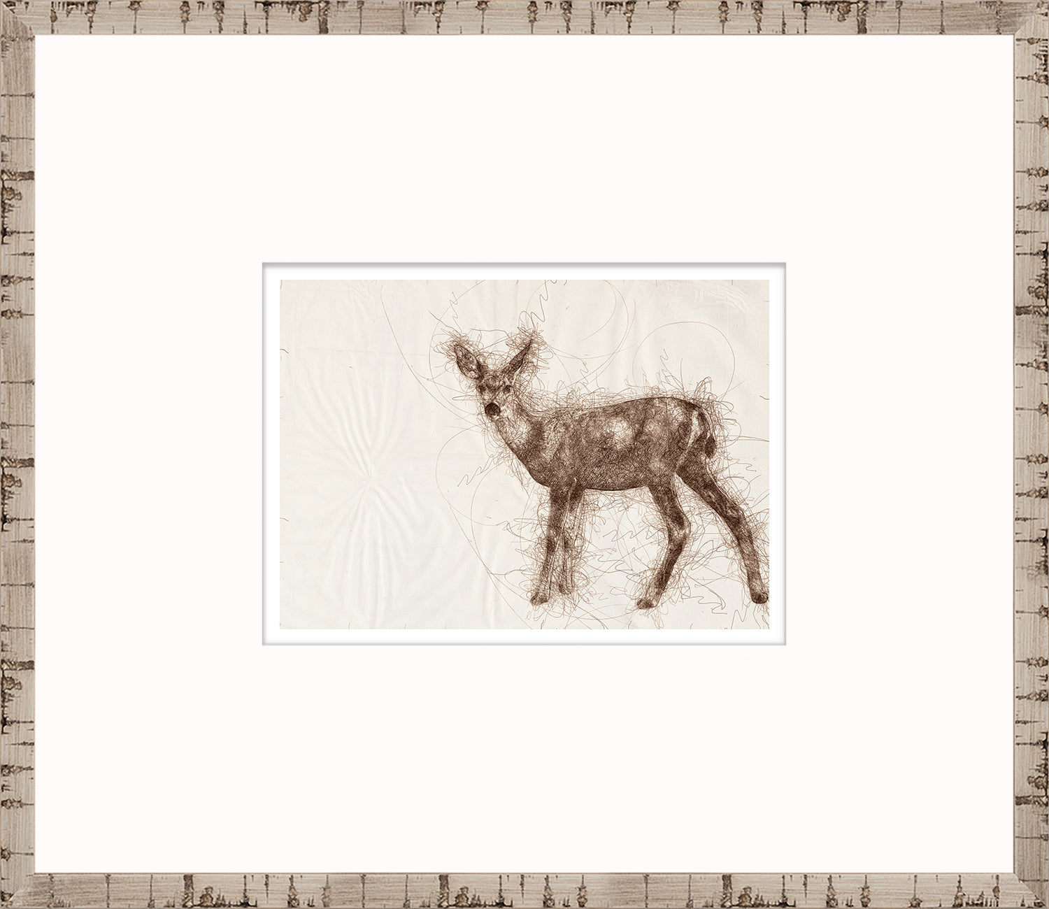 Boceto de la naturaleza – Cervatillo II