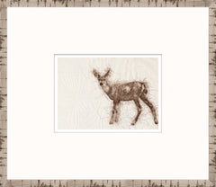 15 × 13 in – Glass Framed