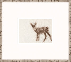 Boceto de la naturaleza – Cervatillo II