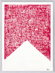 21.5 × 28.5 in