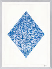 21.5 × 28.5 in