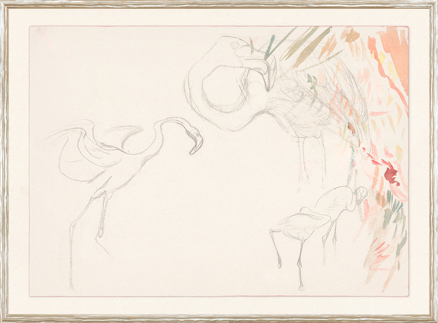 Collection 24, Flamingo Graphite Study C. 1910 featuring sketched flamingos with soft graphite lines and colorful accents.