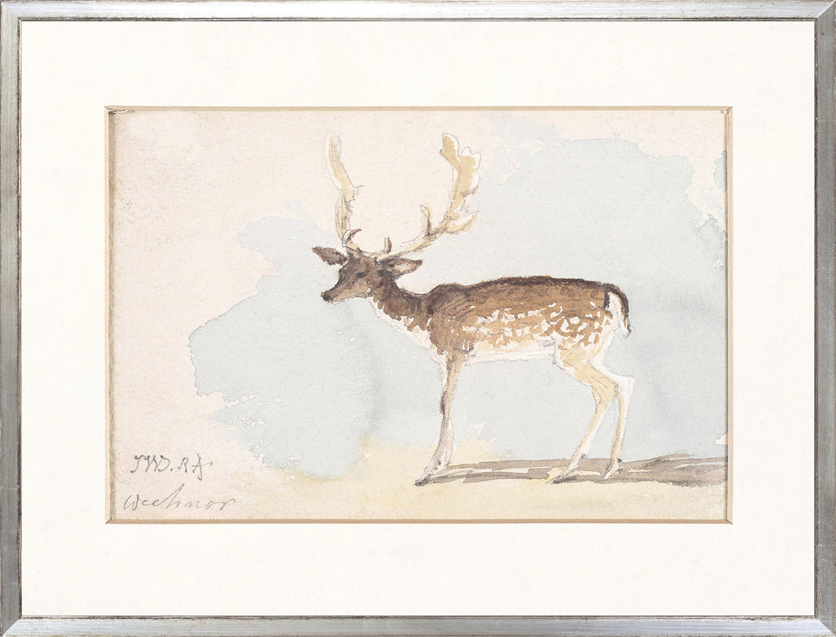 Collection 24, Watercolour Deer Study C. 1822 featuring a brown and white deer against a soft blue background, framed in silver.