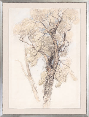 Collection 24 Letter & Tree Study Pair Bundle
