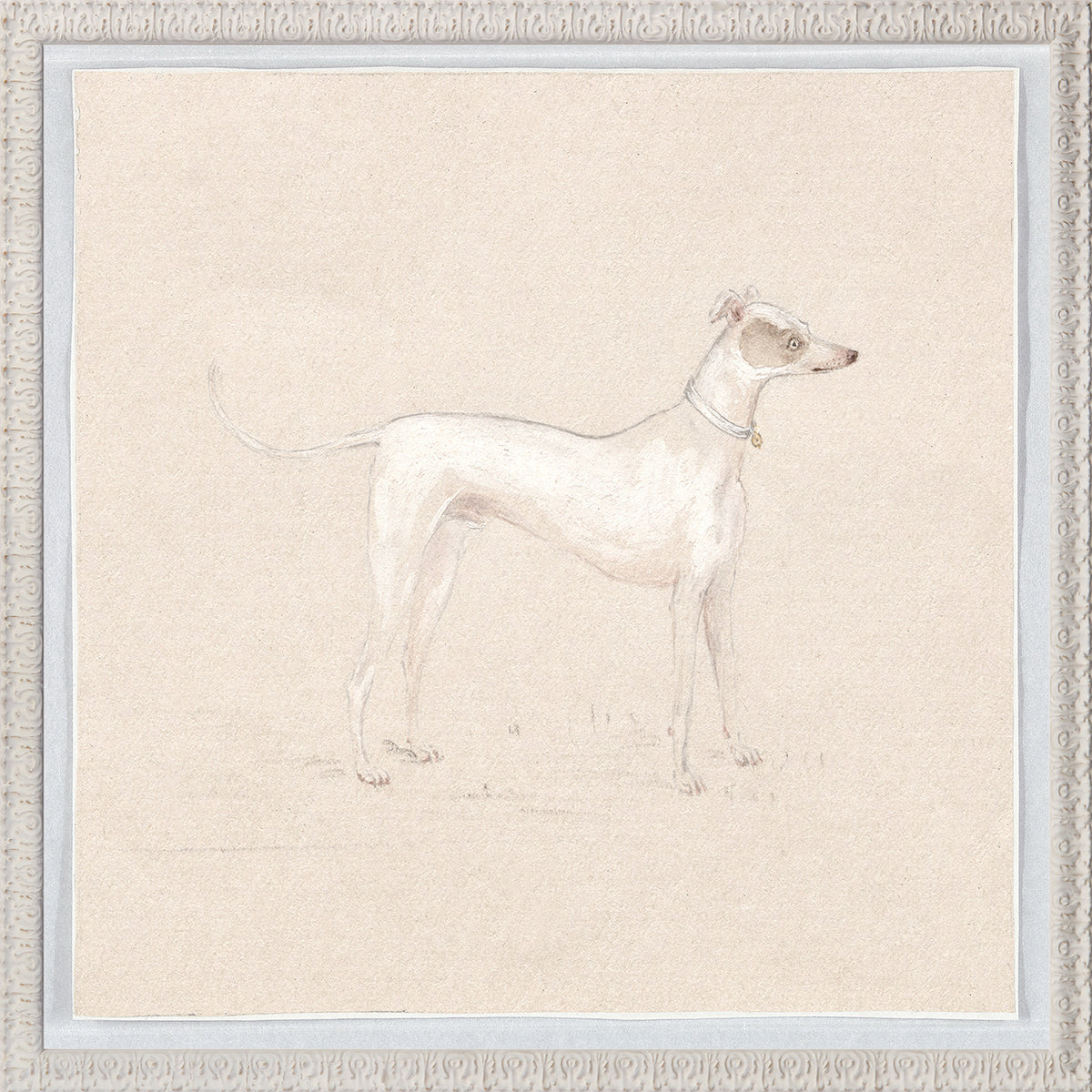 Collection 24, Pastel Dog Study C. 1820 featuring a slender white dog with a brown patch, framed in ornate white.