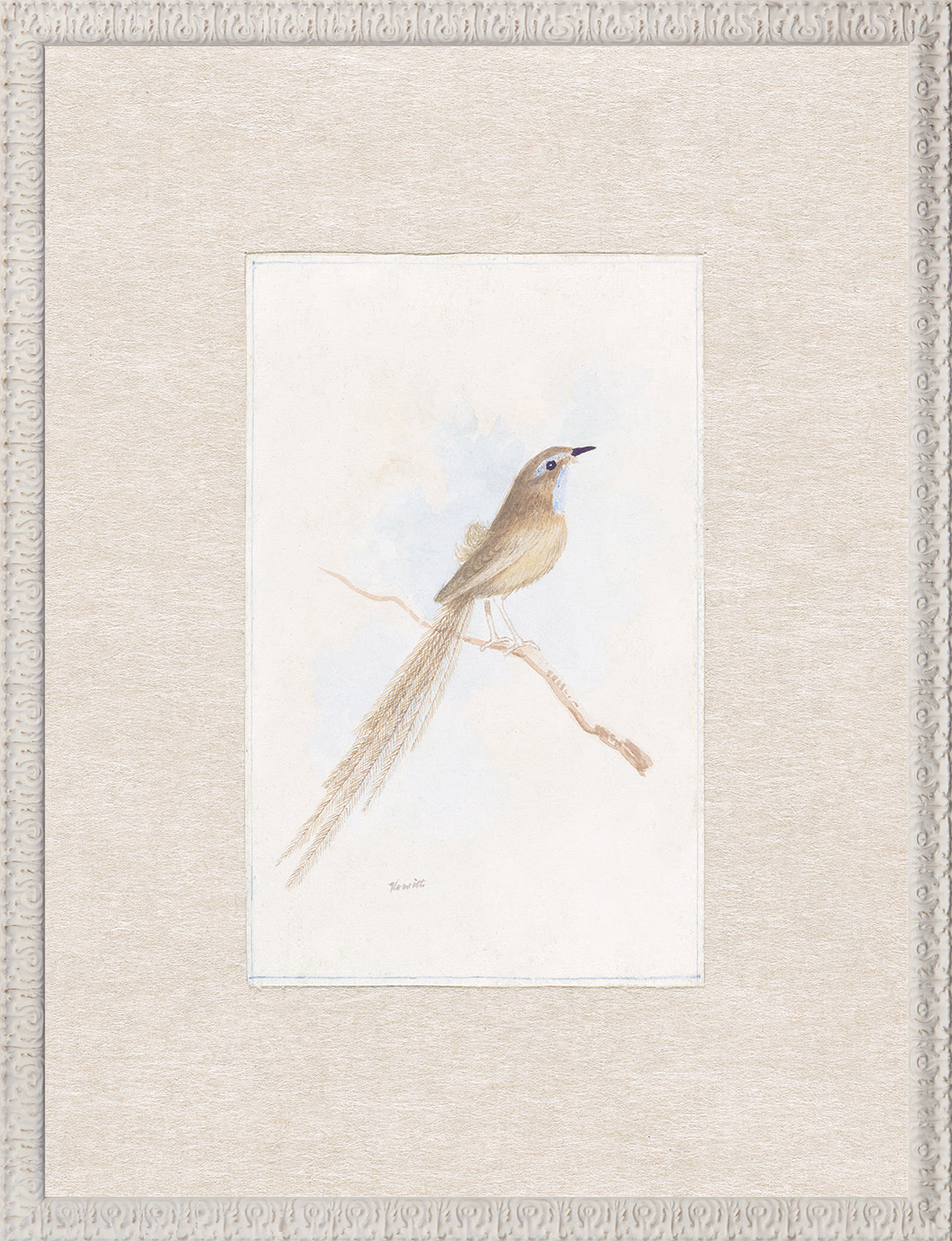 Collection 24, Songbird C. 1847 features a delicate bird illustration in soft colors, framed with an ornate white border.