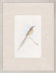 16.5 × 21.5 pulg.