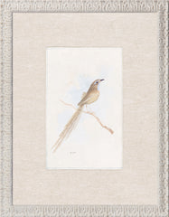 10,5 × 13,5 pulg.