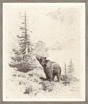 Bear in the Mountains C. 1886 wall art featuring a bear near trees and mountains, in sepia tones.