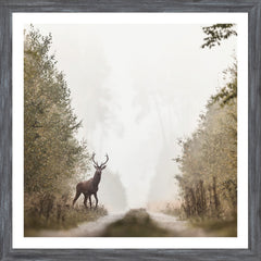 22 × 22 in – Grey Frame