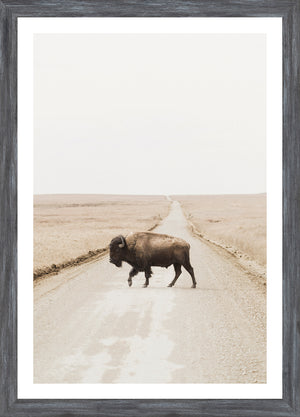 Prairie Range
