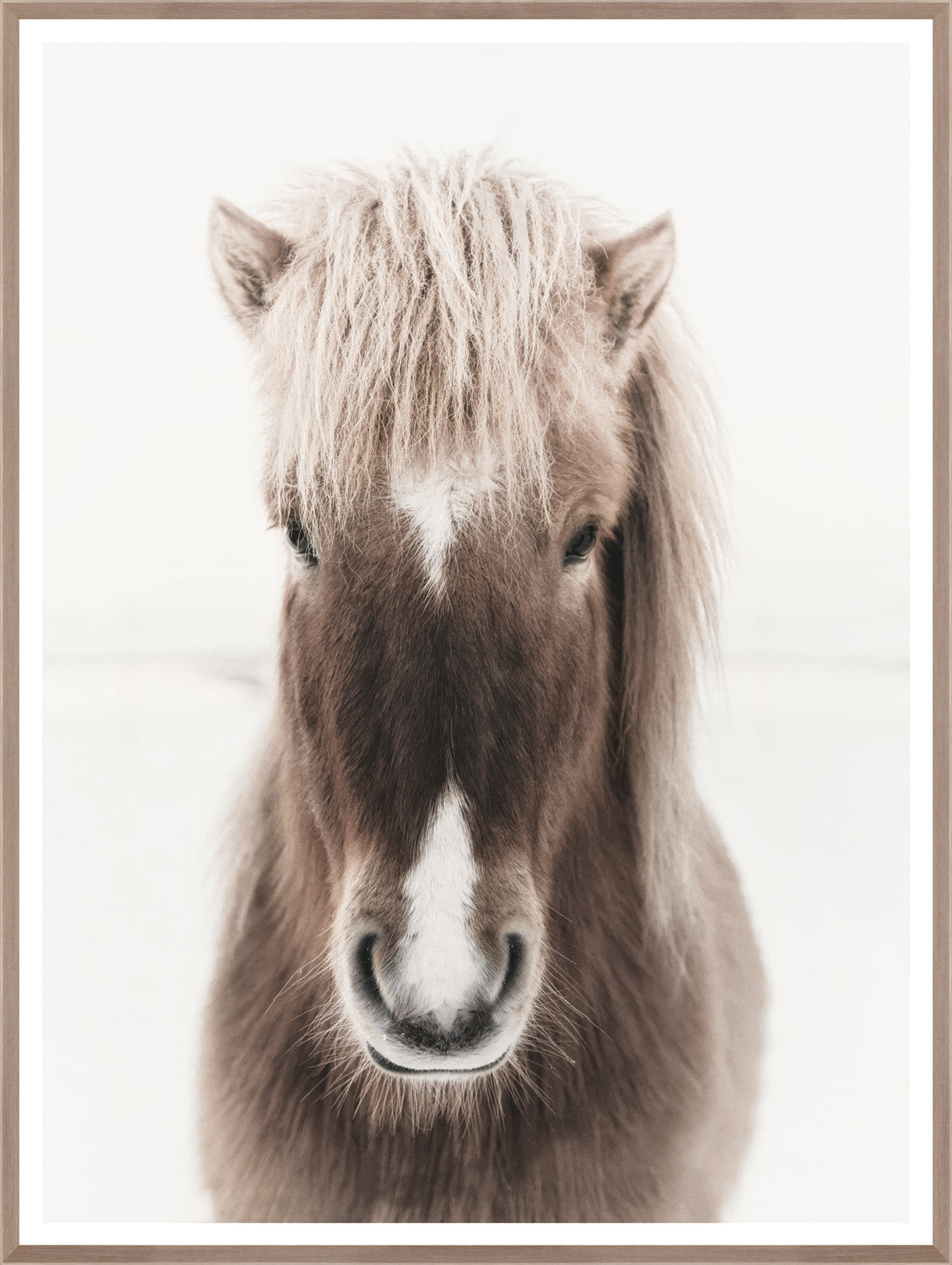 Dakota wall art featuring a close-up of a brown horse with a fluffy mane and white markings, framed in light wood.