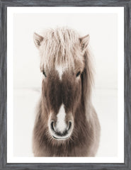 Mini / Glass Framed – Grey Moulding