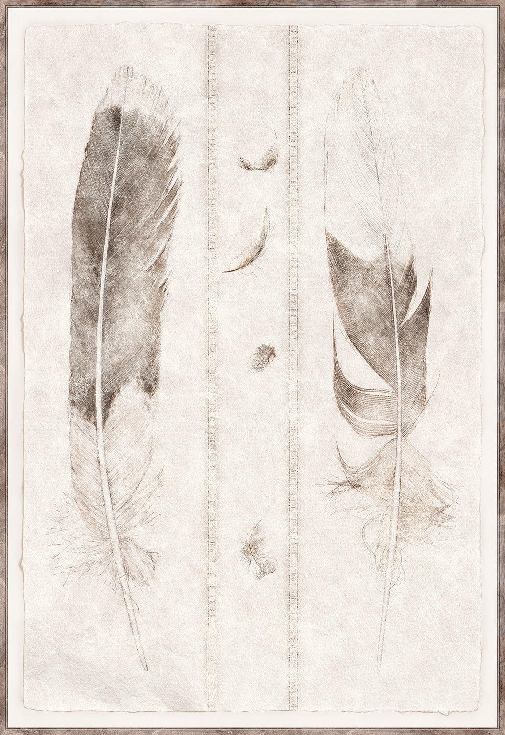 Étude de Plumes II featuring delicate feather illustrations in muted browns on textured cream paper, framed elegantly.