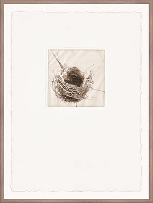 Intaglio Nests I wall art featuring a detailed nest illustration in sepia tones, framed with a textured white mat.