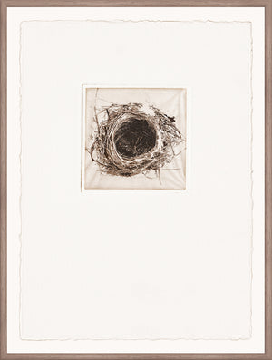 Intaglio Nests II wall art featuring a detailed nest illustration in a square frame.