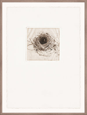 Intaglio Nests III wall art featuring a detailed nest illustration in a simple frame.