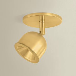 Tuthill Flush Mount - Alt [3041-AGB]