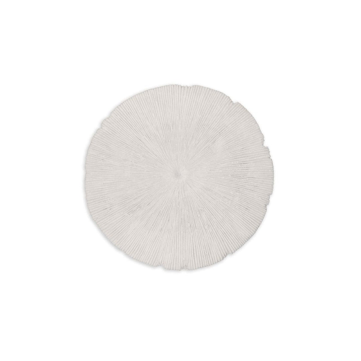 Round white cushion on a white background