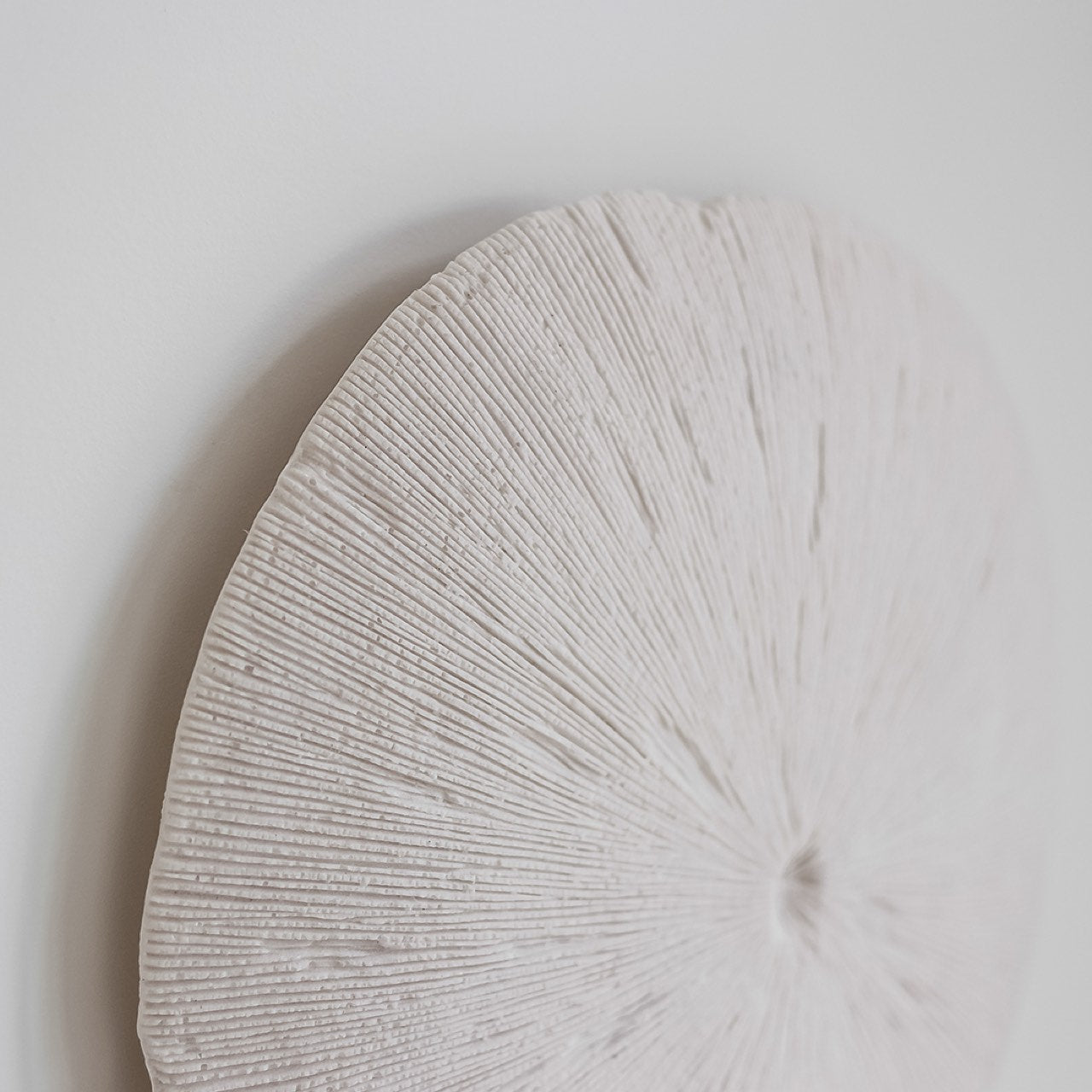 Sand Dollar - S
