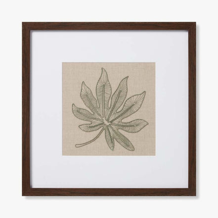 Schefflera Natural / Beige