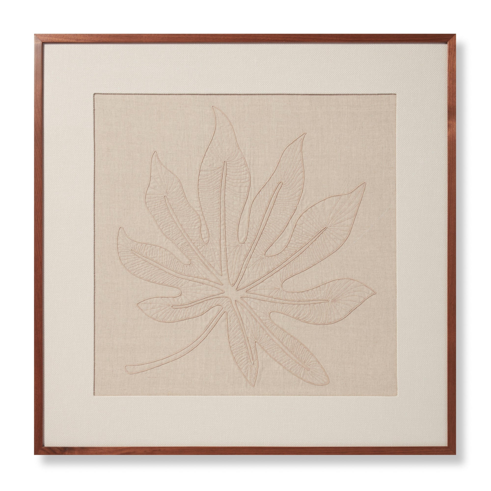 Schefflera Natural / Beige