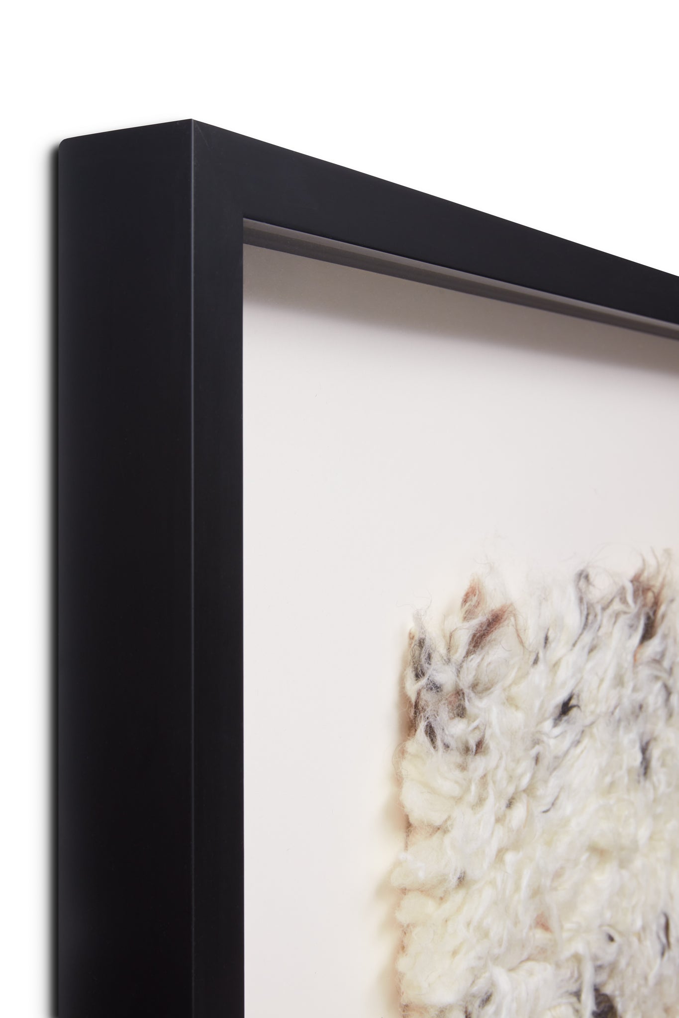 angle view of Guanaco Black / Ivory luxury Artwork