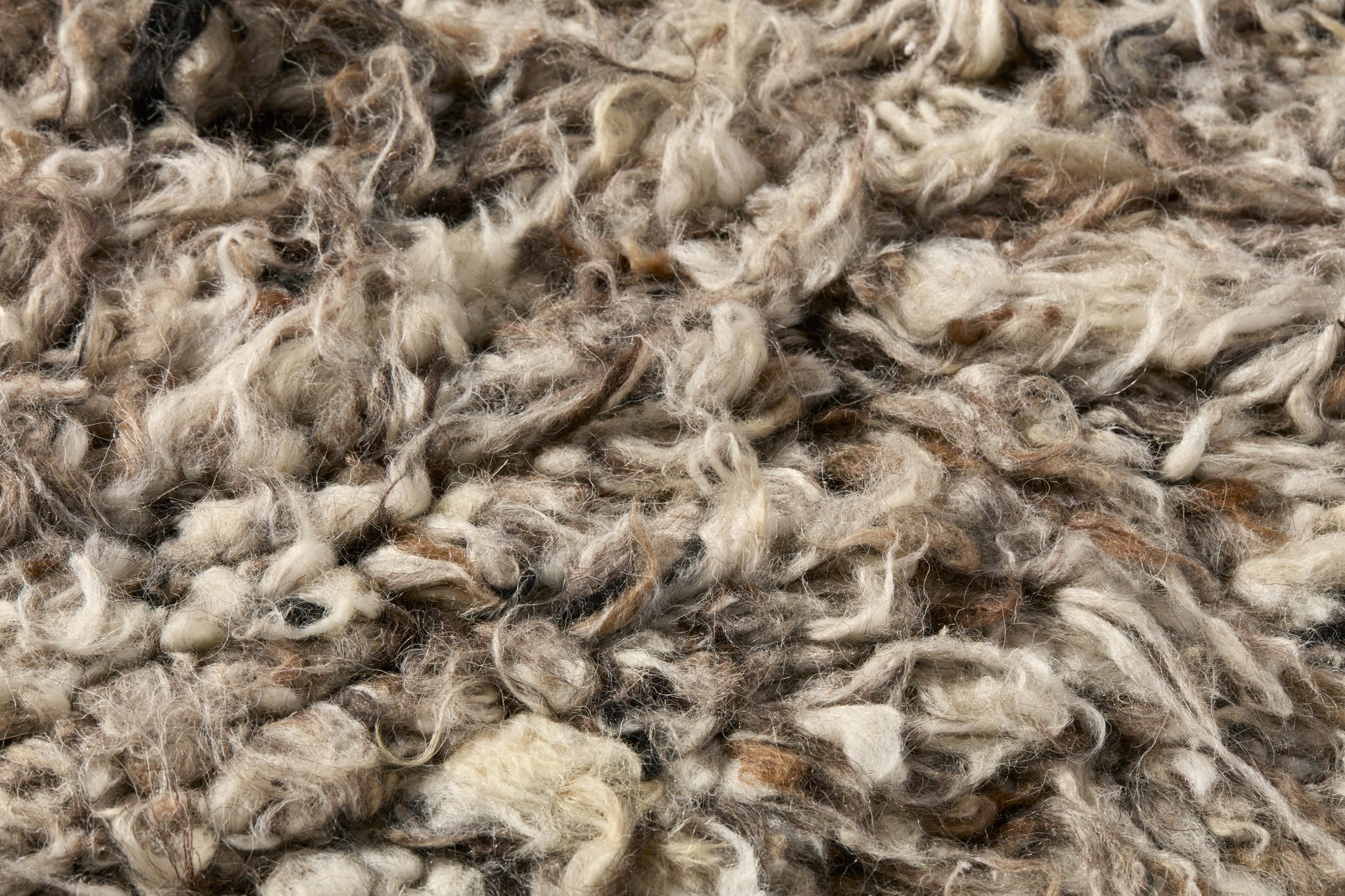 Suri Grey / Ivory Rug Art - Macro Detail (H)