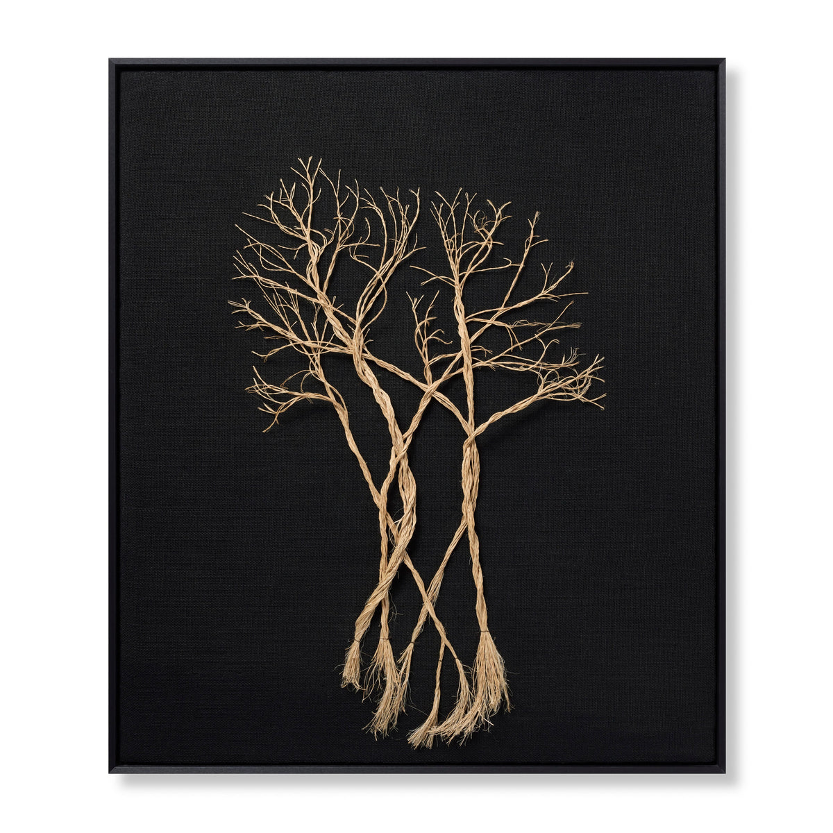 Rooted Black / Beige Rug Art - Aerial Image