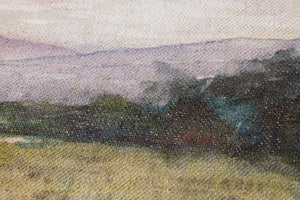 Pastures Multi Rug Art - Macro Detail (H)
