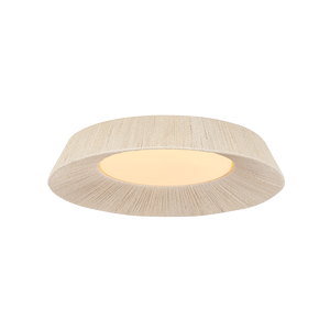 Ceiling Lights