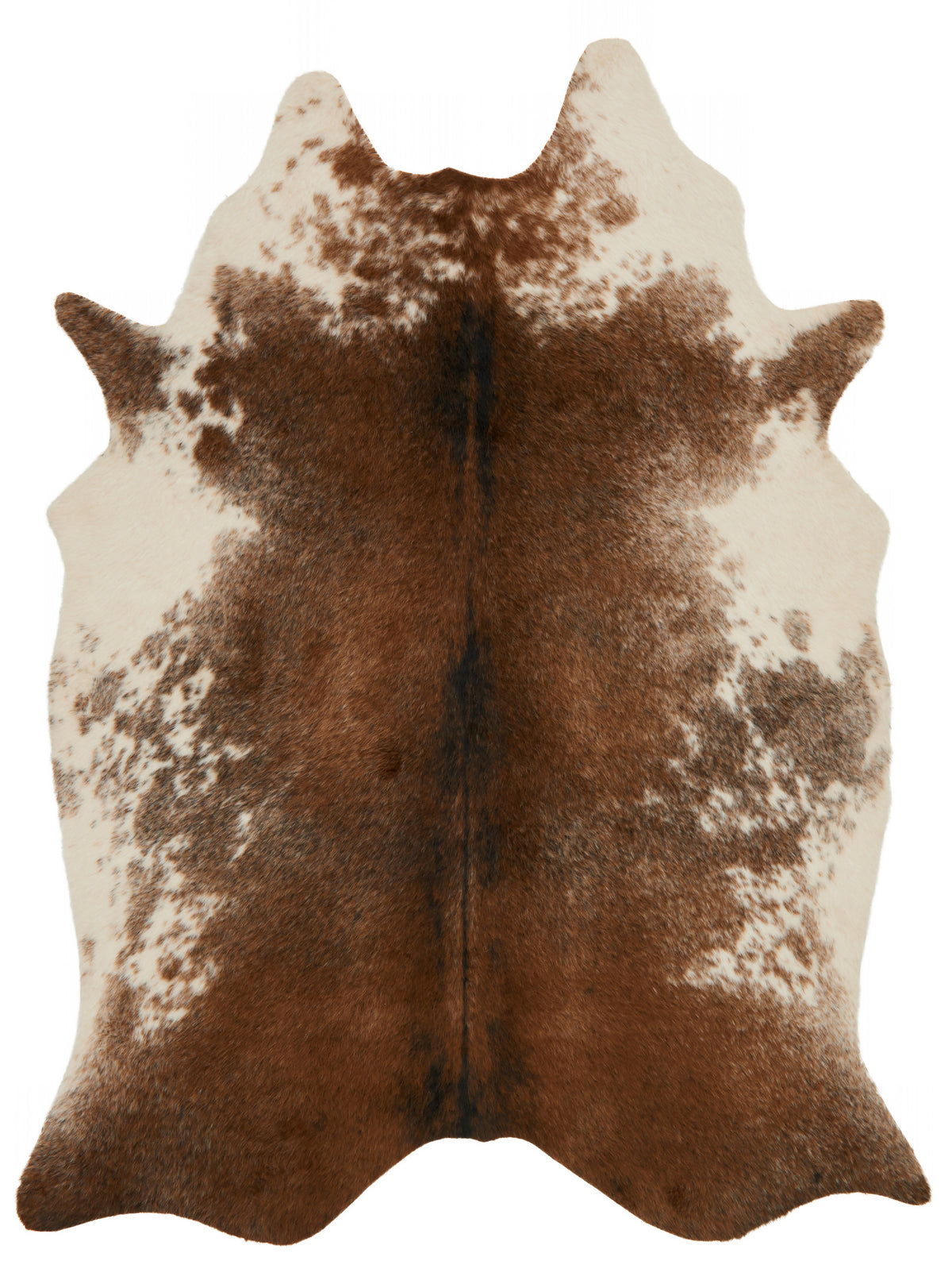 front view of Grand Canyon Coffee / Ivory luxury Rug