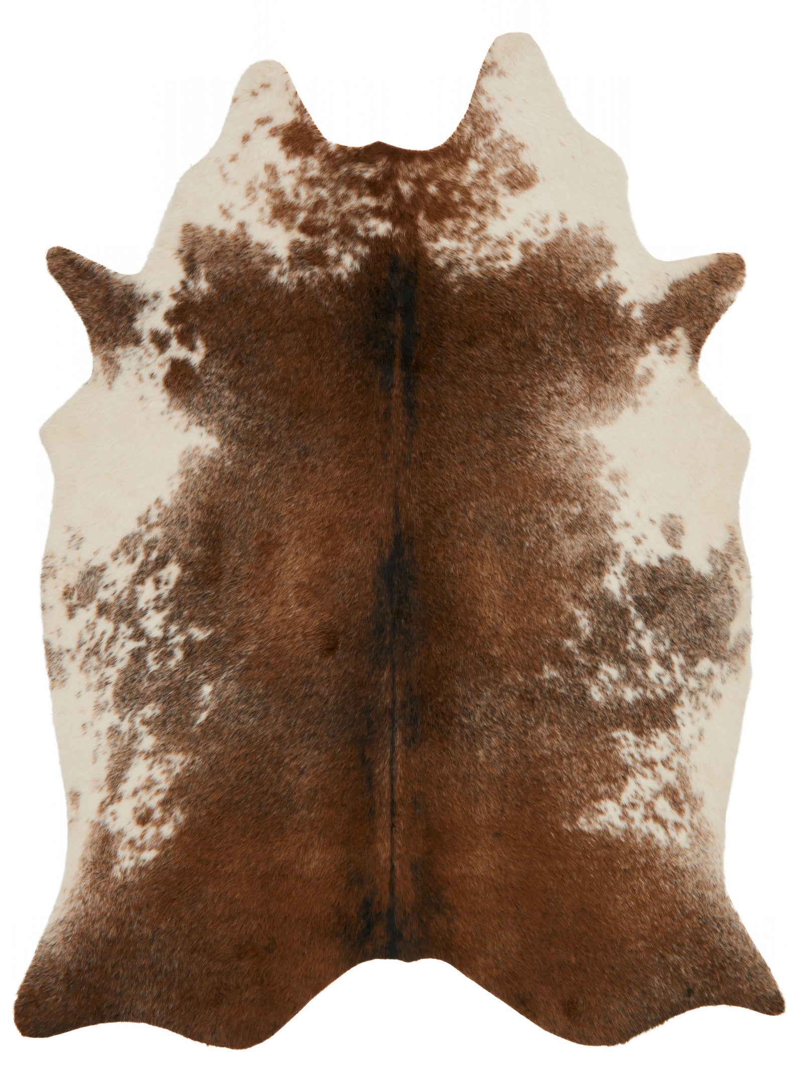 front view of Grand Canyon Coffee / Ivory luxury Rug