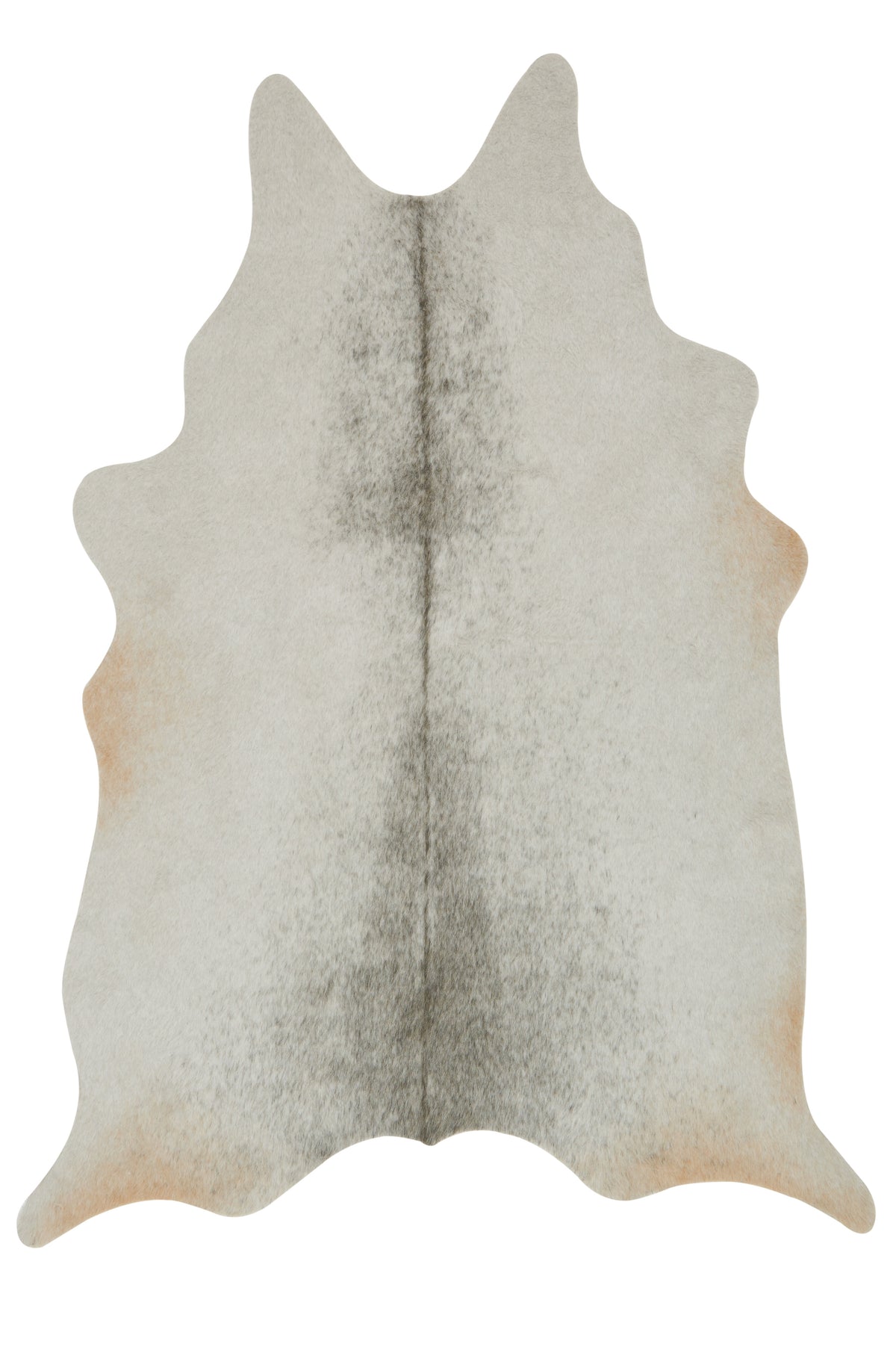 front view of Grand Canyon Silver / Grey luxury Rug