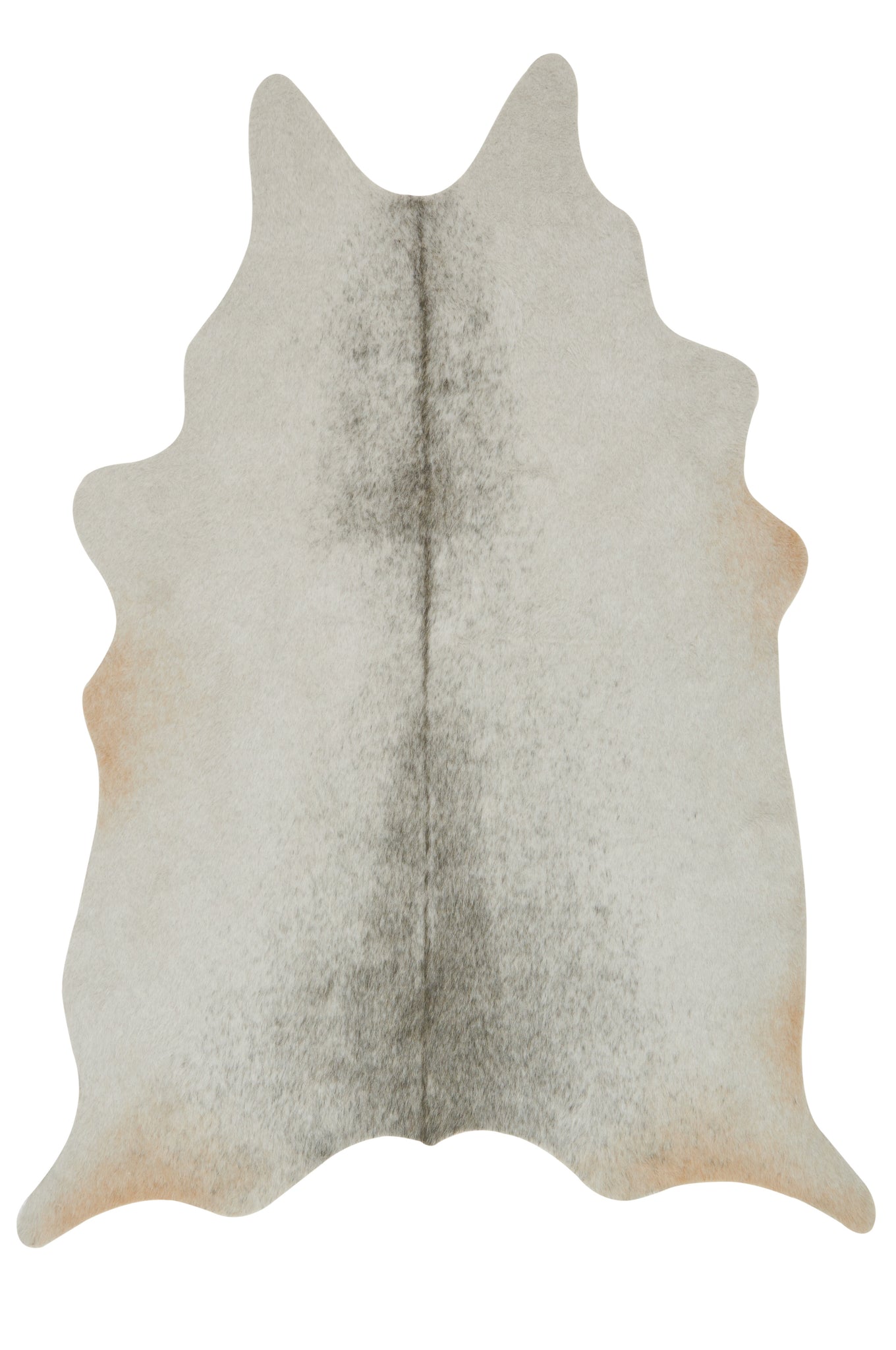 front view of Grand Canyon Silver / Grey luxury Rug