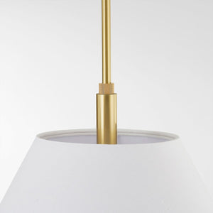 Glenmoore Pendant - Alt [PI1899701-AGB]