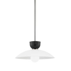 Polished Nickel