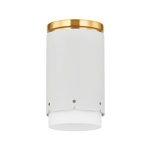 Asa Flush Mount
