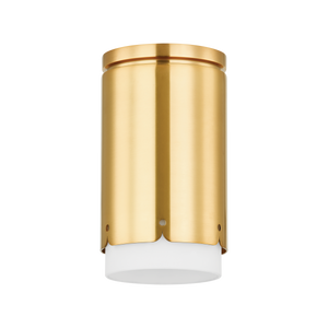 Asa Flush Mount