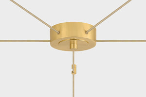 Ironwood Chandelier 30" x 14" - Alt [3905-AGB]
